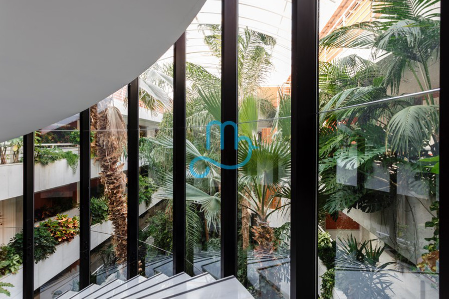Pool and interiors