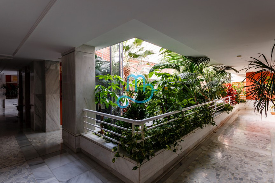 Pool and interiors