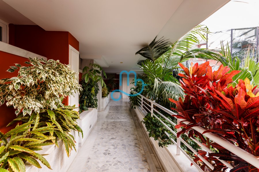 Pool and interiors