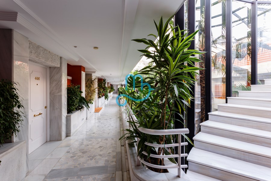 Pool and interiors