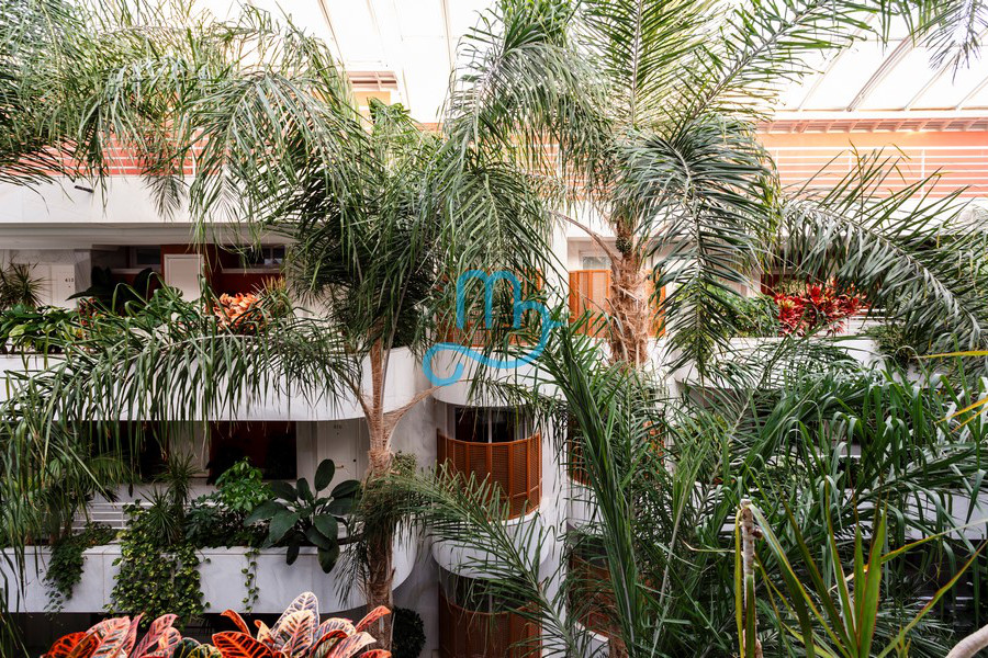 Pool and interiors