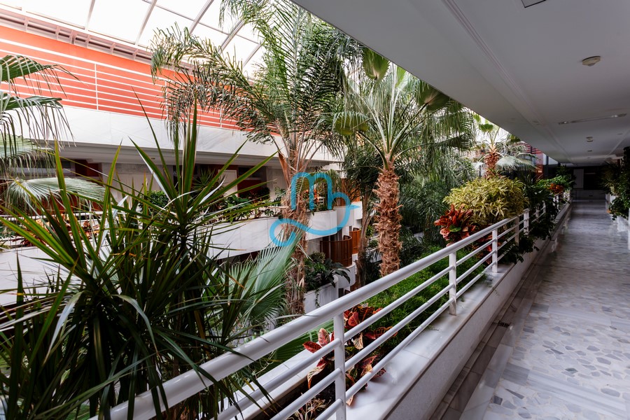 Pool and interiors