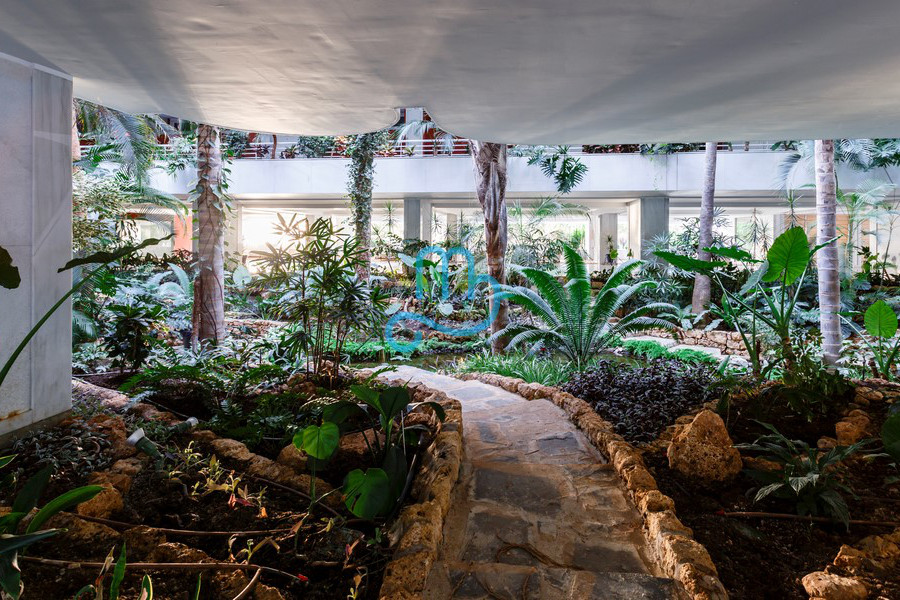 Pool and interiors